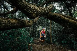 BIB: 
                            <button type="button" onclick="openModal(25708466)" class="btn btn-primary btn-sm float-right btn-popup" data-toggle="modal" data-target=".modal-high-quality">
                        <i class="fas fa-shopping-cart"></i> Add to Cart
                    </button>
                                            <button type="button" onclick="isThisMe(25708466, true)" class="btn btn-success btn-sm float-right btn-popup btn-isme hidden" data-toggle="tooltip" data-placement="bottom" title="นี่คือรูปของคุณใช่ไหม คลิกที่นี่เพื่อเอาเข้าอัลบั้ม">
                        <i class="fas fa-plus"></i> Add to album
                    </button>
                    <button type="button" onclick="isThisMe(25708466, false)" class="btn btn-warning btn-sm float-right btn-popup btn-isnotme hidden">
                        <i class="fas fa-ban"></i> Remove from album
                    </button>